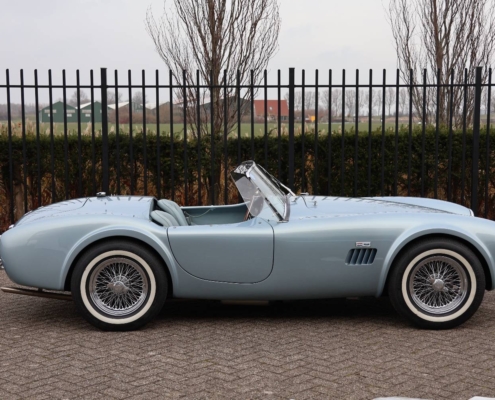 014img043ac Cobra 289 Mk2