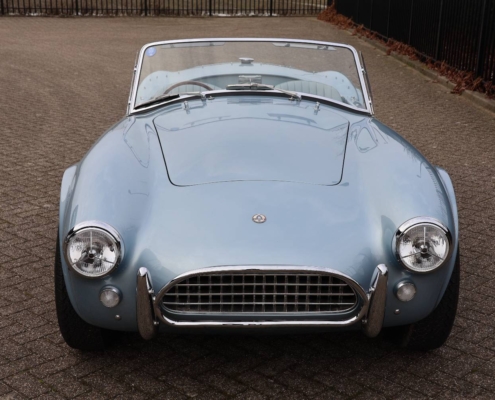 018img059ac Cobra 289 Mk2