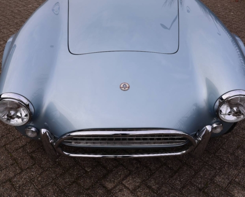 024img064ac Cobra 289 Mk2