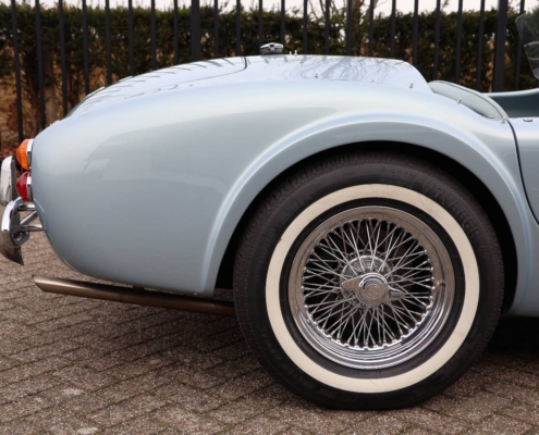 027img055ac Cobra 289 Mk2