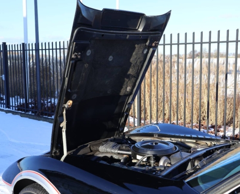 037img033chevrolet Corvette C3 Anniversary